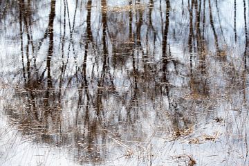 Reflecties in water. van Francis Dost