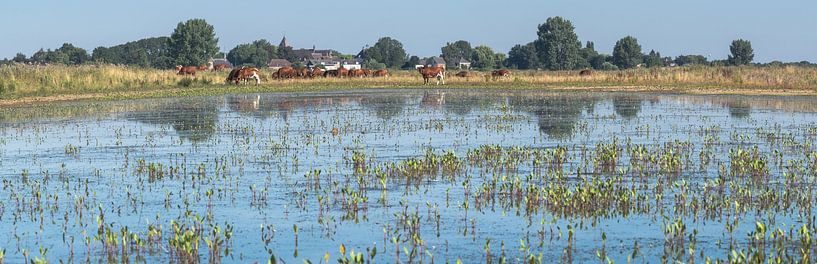 Koeien aan de horizon von Wouter Bos