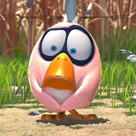 ton vogels profielfoto