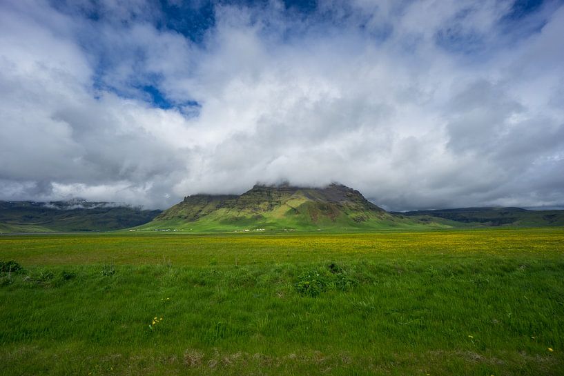 Island - Gelbe Blumen vor grünem Berg in Wolken von adventure-photos