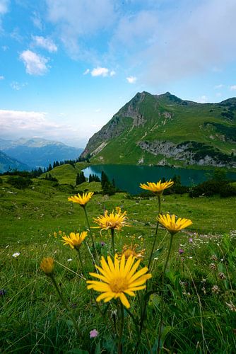 Bloemrijk uitzicht op de Seealpsee in de Allgäuer Alpen