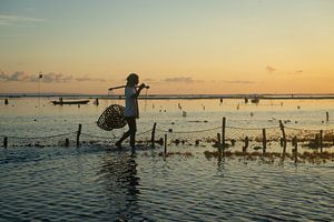 Zeewier boer in Nusa Lembongan met zonsondergang