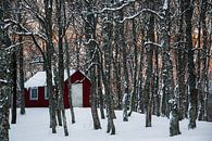 Norwegische Hütte im Schnee - Vesteralen, Norwegen von Martijn Smeets Miniaturansicht