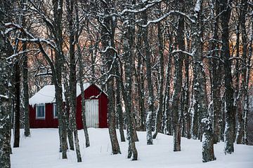 Noors hutje in de sneeuw - Vesteralen, Noorwegen van Martijn Smeets