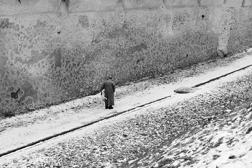 A Dog best friend... - Brasov