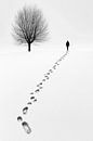 Einsame Schritte im Schnee von Poster Art Shop Miniaturansicht