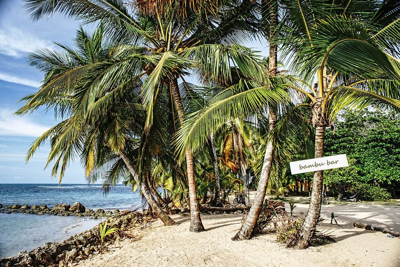 bambu bar by Stefan Havadi-Nagy