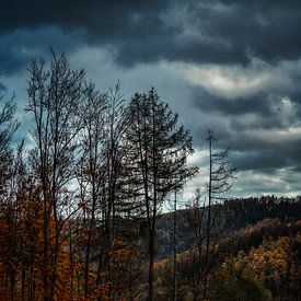 Autumn in the Eifel by Rik Verslype