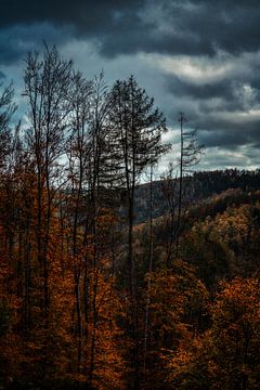 Autumn in the Eifel