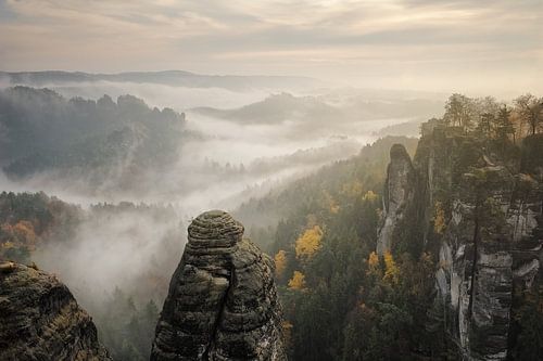 Fog over the Elbe Sandstone Mountains