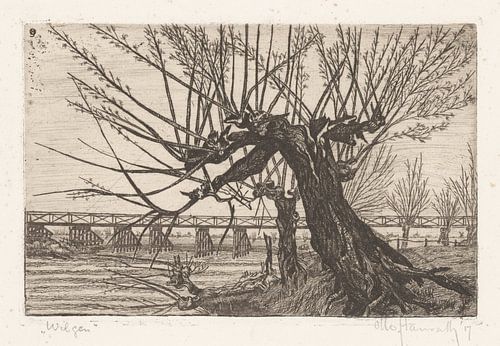 Saule, Otto Hanrath, 1917