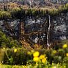 Waterval in Zwitserland | Sneeuw en bloemetjes van Yvette Baur