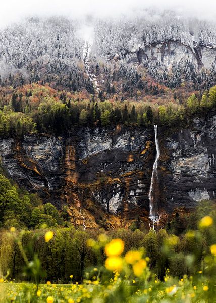 Waterval in Zwitserland | Sneeuw en bloemetjes van Yvette Baur