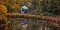 L'automne dans la forêt de Slochter par Henk Meijer Photography Aperçu