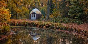 Herbst im Slochter Wald