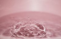 Druppel stuitert op het water