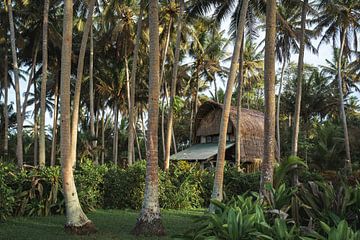 Tropisch droomhuisje omringd door hoge palmbomen in een weelderige jungletuin in Bali van Marcus Photography