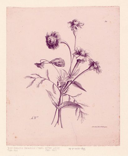 Botanische print