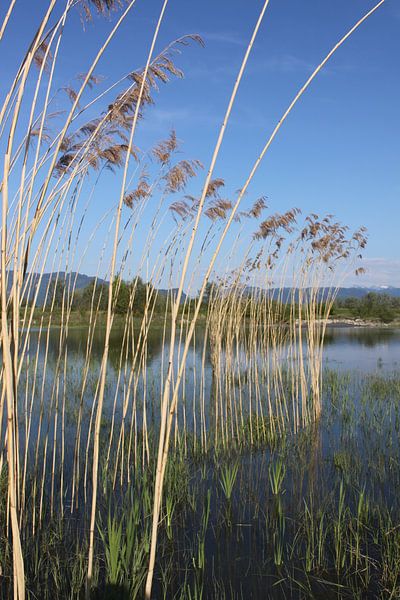 l'embouchure du Rhin à Fußach - installation d'art naturel de Matthias Würfel par Matthias Würfel