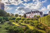 Rosengarten vor dem Residenzschloß Idstein von Christian Müringer Miniaturansicht