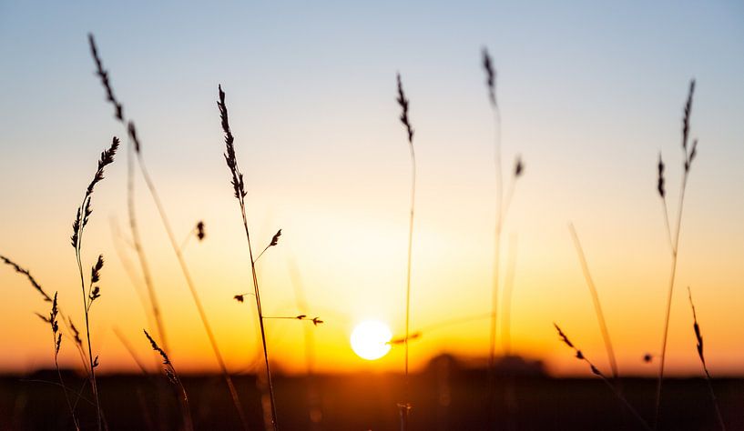 Avondlicht op Walcheren 4 by Percy's fotografie