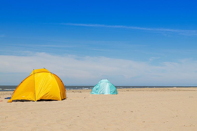 Beach shells by Michael Ruland