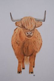 Scottish Highland by Henrieke de Kluijver