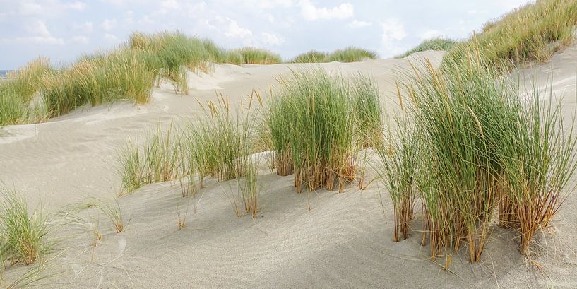 Strand von Terschelling von Dirk van Egmond