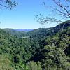 Obi Obi Gorge lookout by Frank's Awesome Travels