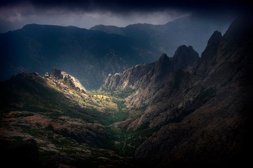 Licht in de Duisternis