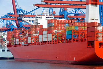 Containerschiffe machten am Containerterminal im Hamburger Hafen von Sjoerd van der Wal Fotografie