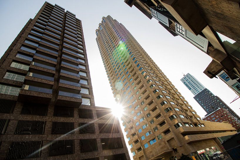 Kop van Zuid  by Peter Hooijmeijer