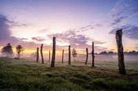 Palm village in Drenthe during sunrise
