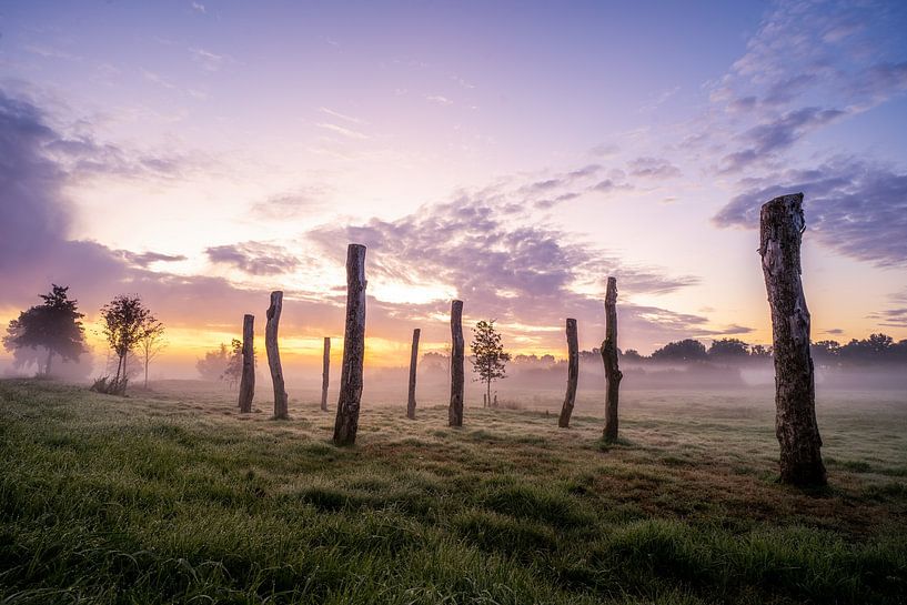 Village de palmiers à Drenthe pendant le lever du soleil par Jolien fotografeert