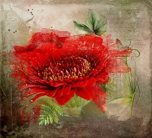 Fleur rouge