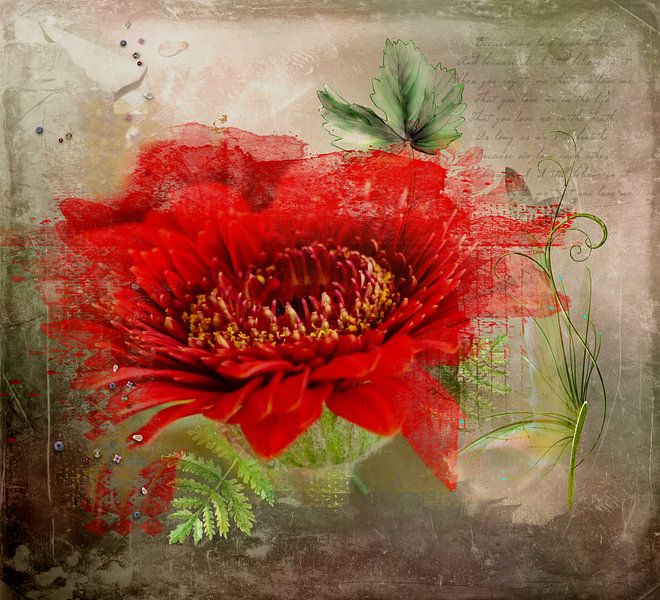 Rode bloem van Carla van Zomeren