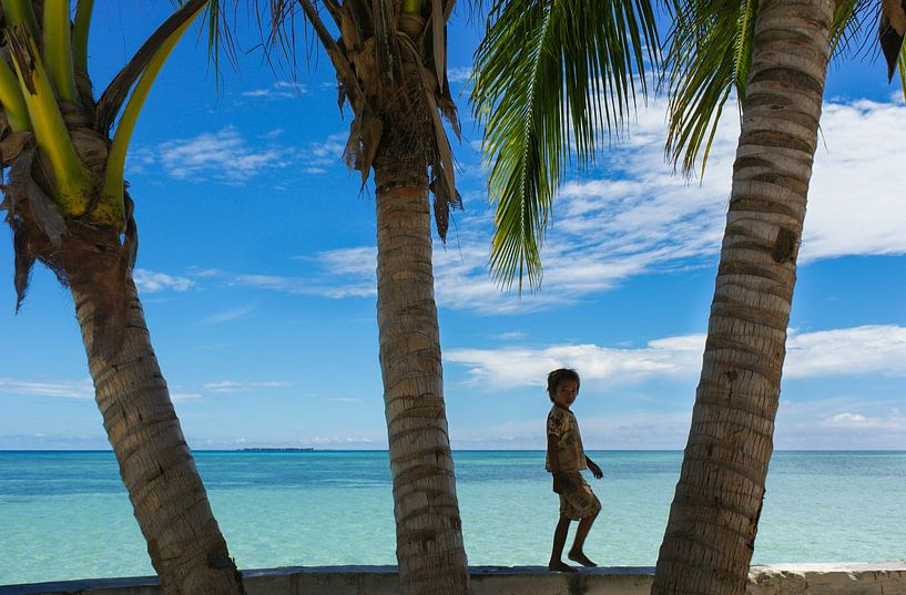 Tropische Palmen op Mabul Island, Maleisië van Sven Wildschut