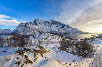 Panoramablick auf den Austnesfjorden im Winter auf den Lofoten von Sjoerd van der Wal Fotografie