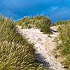 Dune sur la plage de sable de Henne au Danemark sur Silva Wischeropp