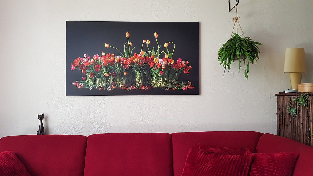 Tulipes des Pays-Bas, par Dirk Verwoerd