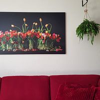Photo de nos clients: Tulipes des Pays-Bas sur Dirk Verwoerd, sur toile
