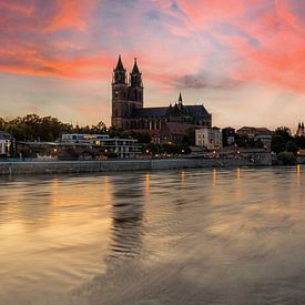 Magdeburg - Panorama im Sonnenuntergang von Frank Herrmann