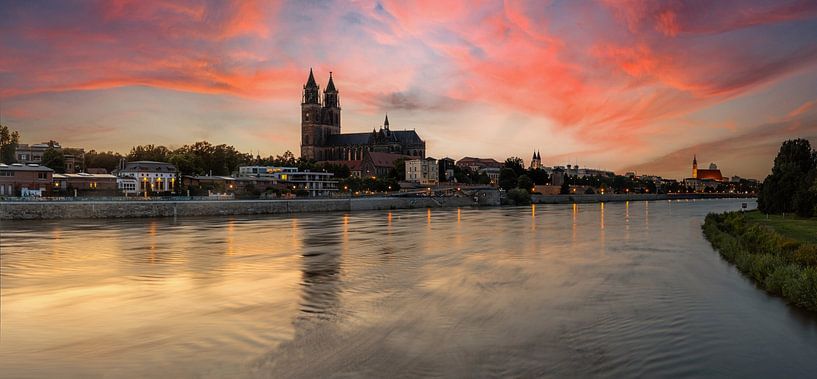 Magdeburg - Panorama im Sonnenuntergang von Frank Herrmann