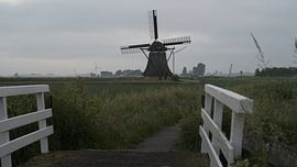 Op weg naar de molen van Enno Hemminga