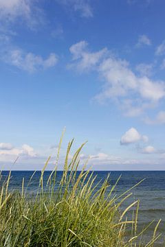 Dunes von Ostsee Bilder