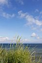 Dunes von Ostsee Bilder Miniaturansicht