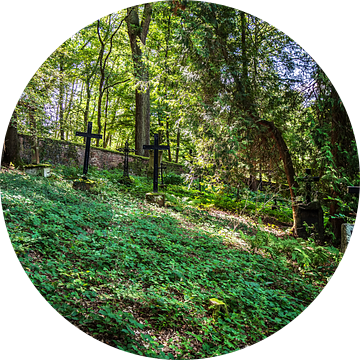 De laatste rustplaats diep verborgen in het bos