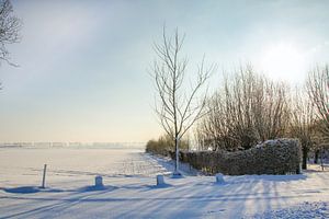 Prairie enneigée sur Ivo de Rooij