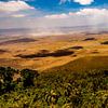 Uitzicht op de Ngorongoro krater van René Holtslag
