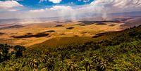 Uitzicht op de Ngorongoro krater von René Holtslag Miniaturansicht